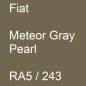 Preview: Fiat, Meteor Gray Pearl, RA5 / 243.